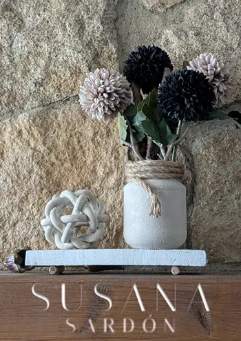 imagen de un cartel de susana sardón