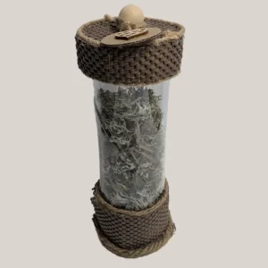 imagen de una botella de plástico decorada y rellenada de líquenes. Tono: marrón.